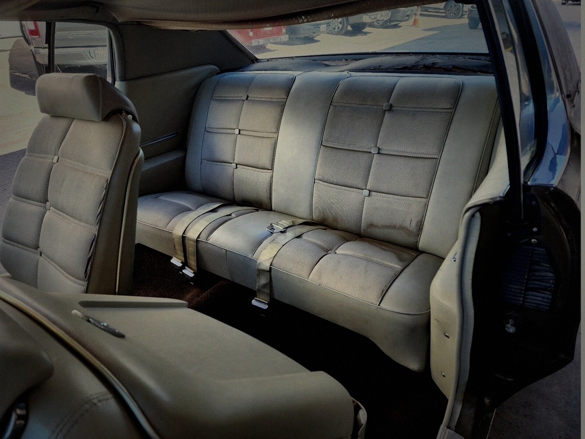 Birdie rear interior bench